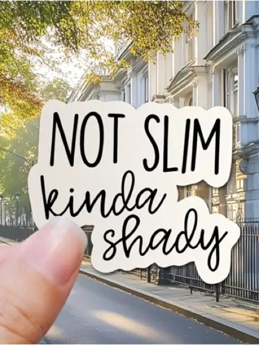 NEW Humorous Not Slim, Kinda Shady, Sticker 2.25” x 2.75”